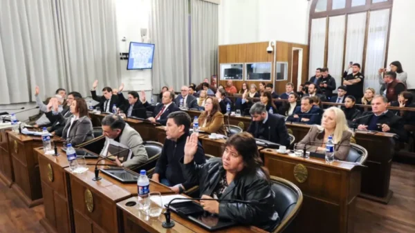 UCR Activa cuestionó al Senado por aprovechar la «distracción mundialista» para aprobar la reforma jubilatoria