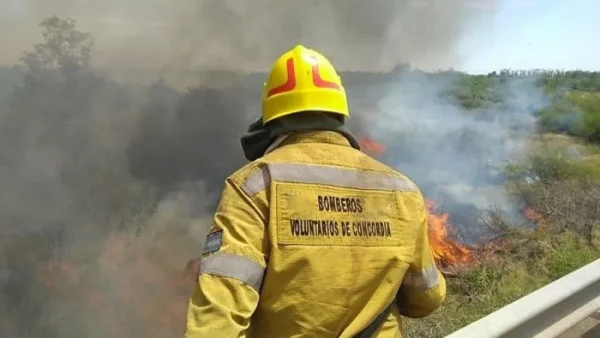 Piden que el Gobierno efectivice las transferencias de fondos para la cobertura en salud de bomberos voluntarios