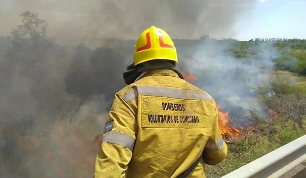 Piden que el Gobierno efectivice las transferencias de fondos para la cobertura en salud de bomberos voluntarios