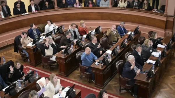 La Cámara de Diputados otorgó media sanción al incentivo para el comercio