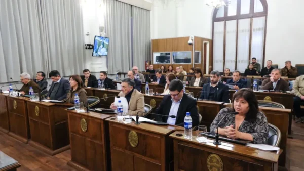 Senadores del PJ advirtieron que un proyecto del oficialismo busca blindar la reforma jubilatoria