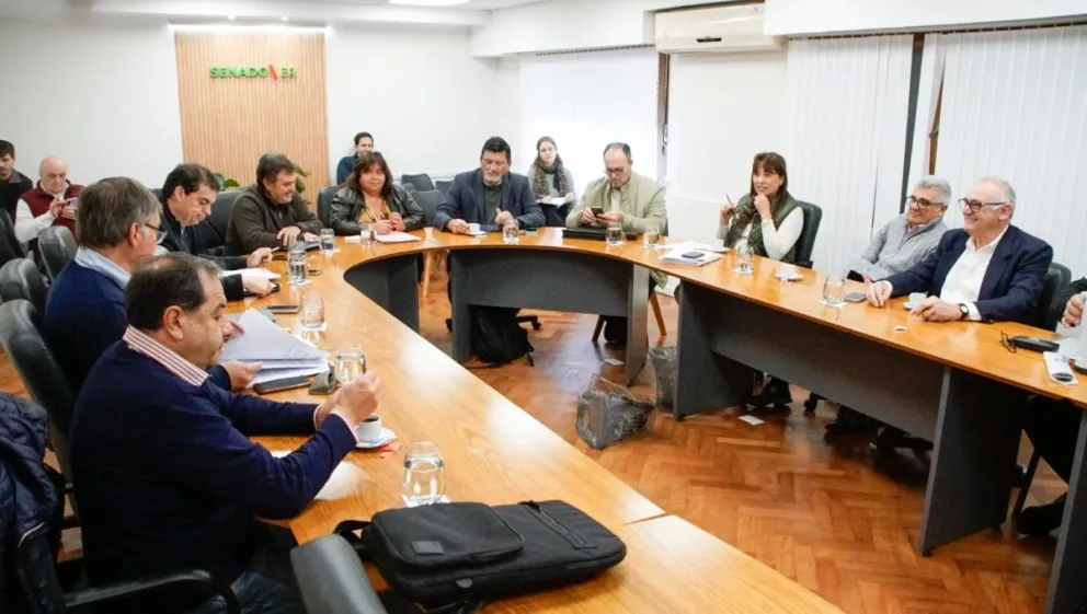 Senado dio dictamen al proyecto para fomentar el desarrollo del norte entrerriano
