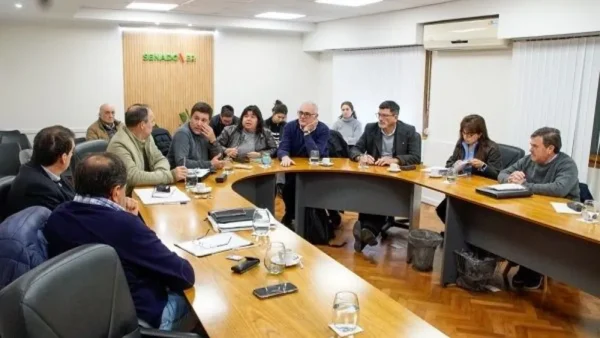El Senado dio dictamen favorable para tres proyectos de ley
