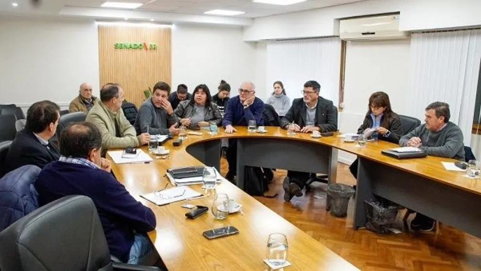 El Senado dio dictamen favorable para tres proyectos de ley
