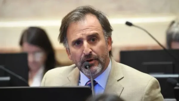 El senador libertario Joaquín Benegas Lynch tiene una empresa que gestiona ventas de tierras a extranjeros