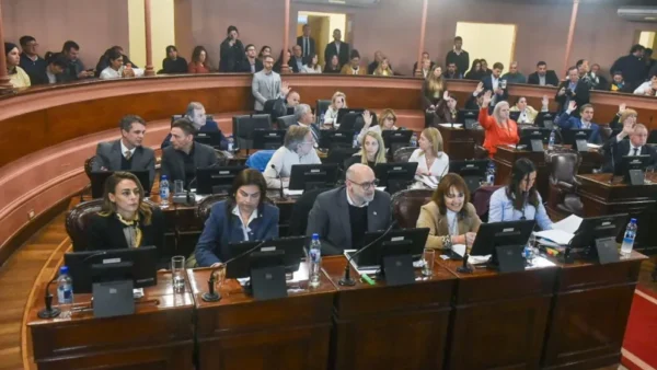 Diputados Peronistas piden la suspensión de la adjudicación de alimentación escolar a la empresa Teknofood