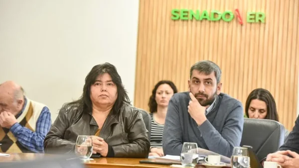 Comisiones del Senado volverán a abordar la media sanción de Diputados al proyecto de Ficha Limpia para Entre Ríos