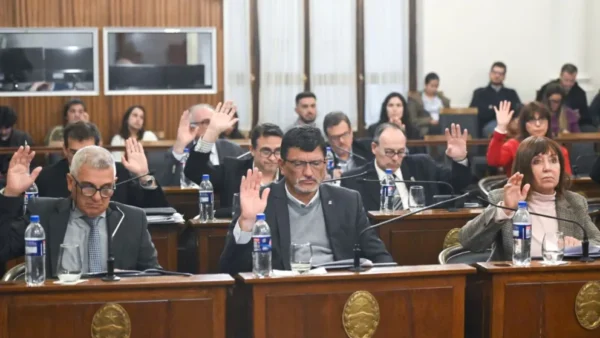 El Senado prestó acuerdo para los cargos de presidente y vocales del CGE