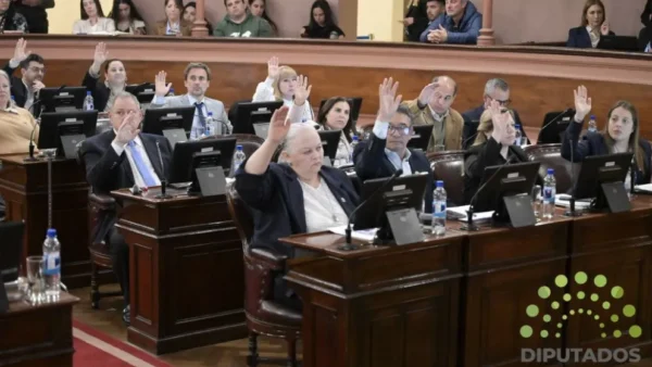 Diputados homenajeó a Julia Calleros y dio media sanción a la Ley de Transformación e Innovación Digital