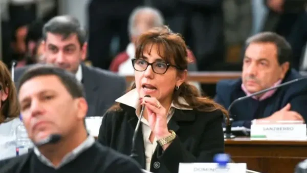 Senadora que dejó el bloque peronista defendió su decisión, ratificó su identidad política y destacó la intención de voto de Frigerio