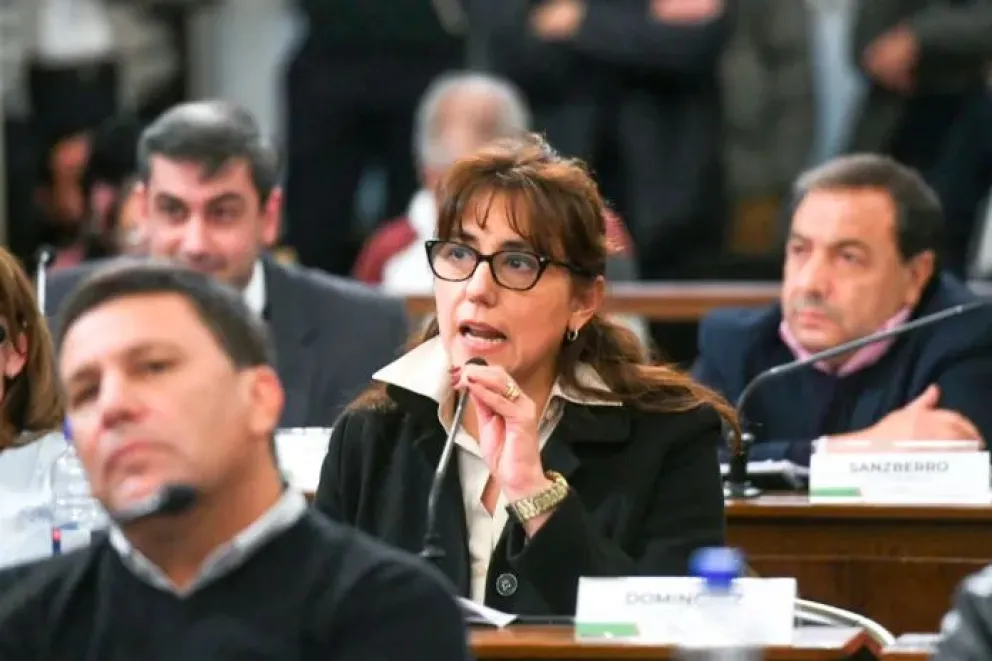 Senadora que dejó el bloque peronista defendió su decisión, ratificó su identidad política y destacó la intención de voto de Frigerio