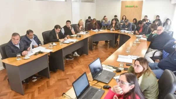 Senadores del PJ realizaron aportes concretos para fortalecer la Ley de Ética Pública