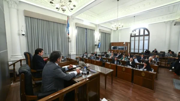 Sin el apoyo del PJ, el Senado aprobó el proyecto de alivio fiscal para comercios