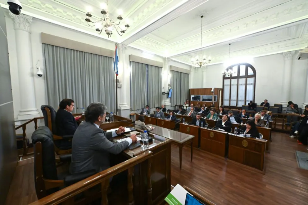 Sin el apoyo del PJ, el Senado aprobó el proyecto de alivio fiscal para comercios