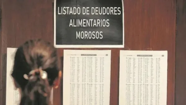 Este miércoles el Senado abordará el proyecto de ley que propone impedir el ingreso de deudores alimentarios a espectáculos deportivos