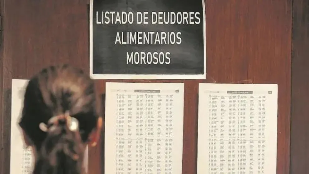 Este miércoles el Senado abordará el proyecto de ley que propone impedir el ingreso de deudores alimentarios a espectáculos deportivos