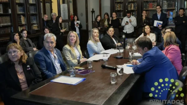 Código Procesal Laboral: el análisis en comisión buscó unificar criterios para evaluar incapacidades