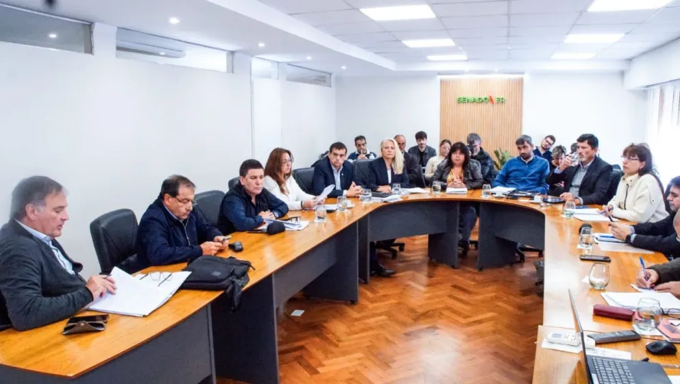 El Senado reanuda el debate sobre el proyecto de Transparencia y Ética Pública