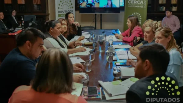 Comisión: Diputados avanzó en proyectos sobre cuidados y apoyos, y salud mental